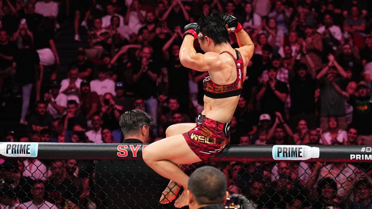 切斯带来的 切斯带来的