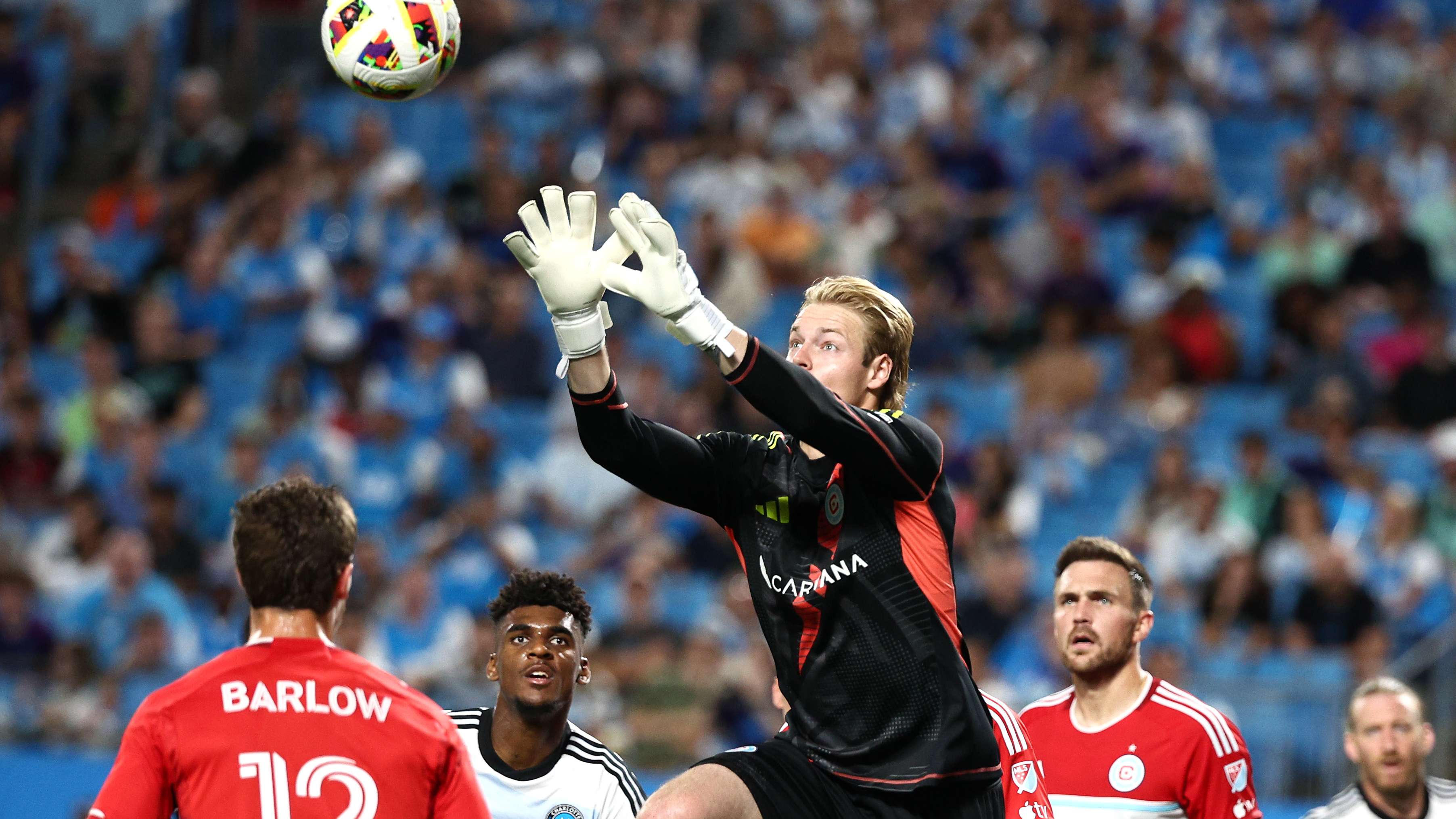 到的兩位偶 到的兩位偶